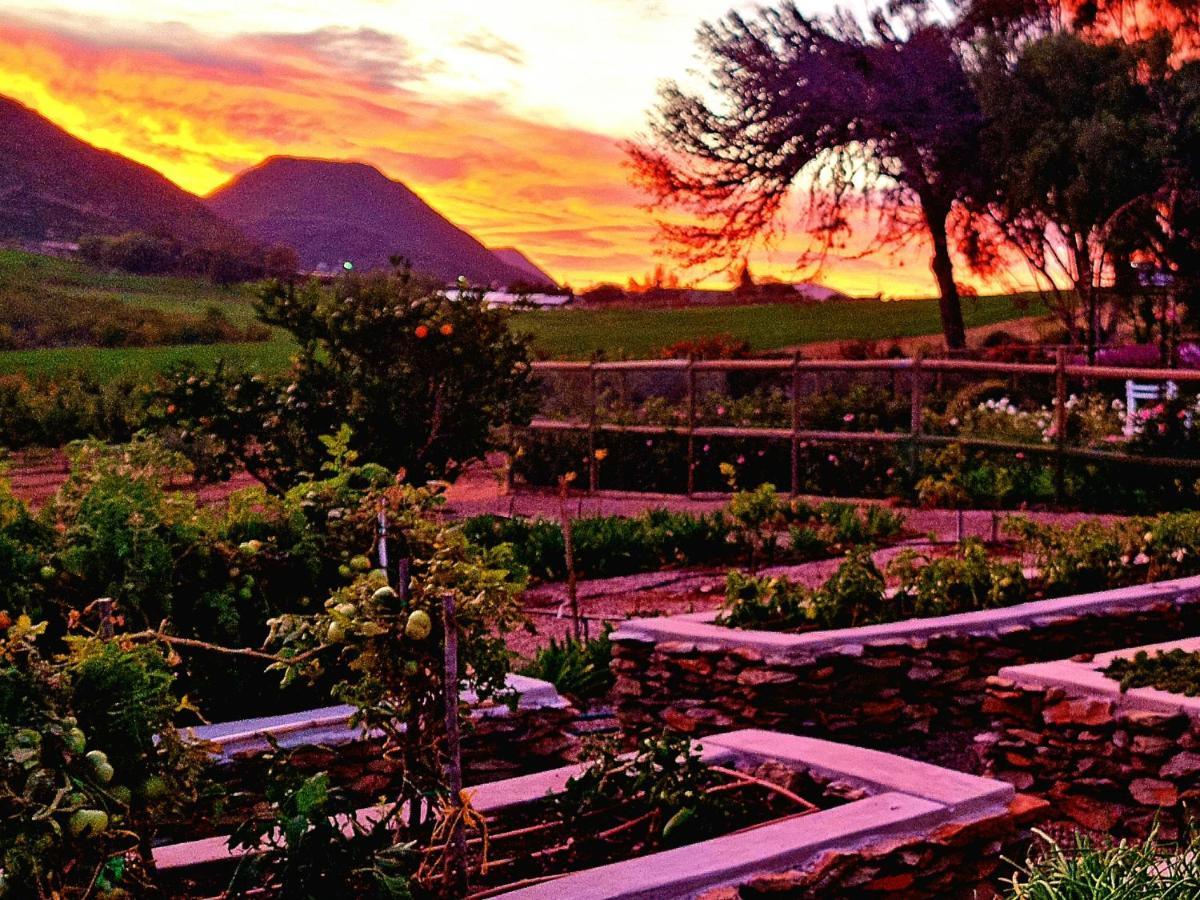 Pjure Boutique Hotel & Spa Montagu Bagian luar foto