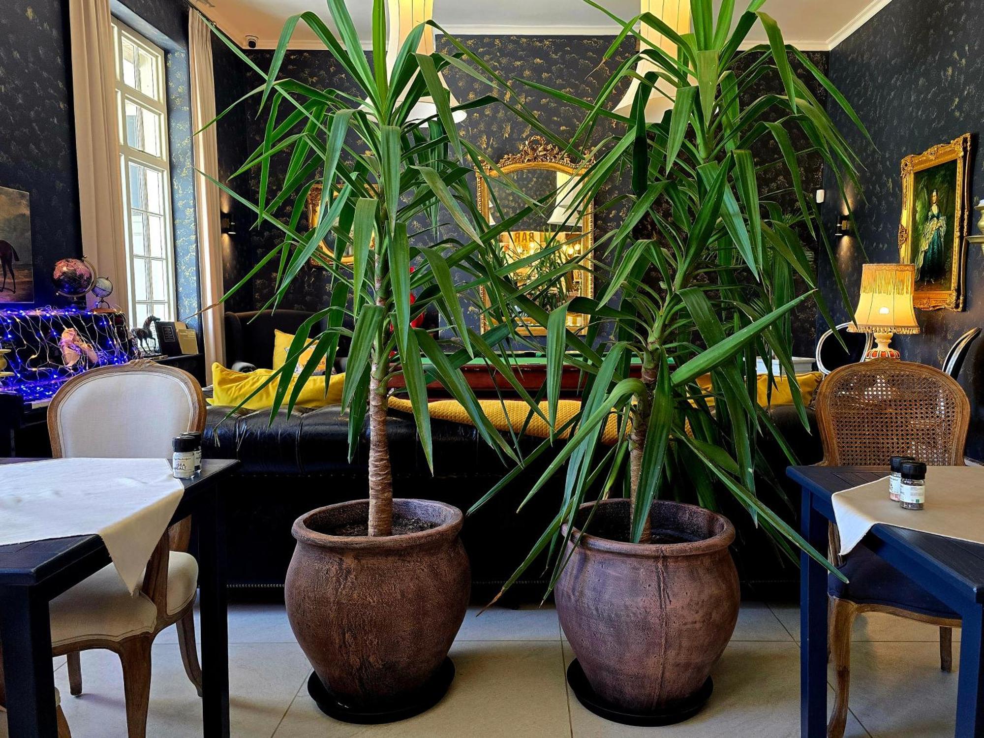 Pjure Boutique Hotel & Spa Montagu Bagian luar foto